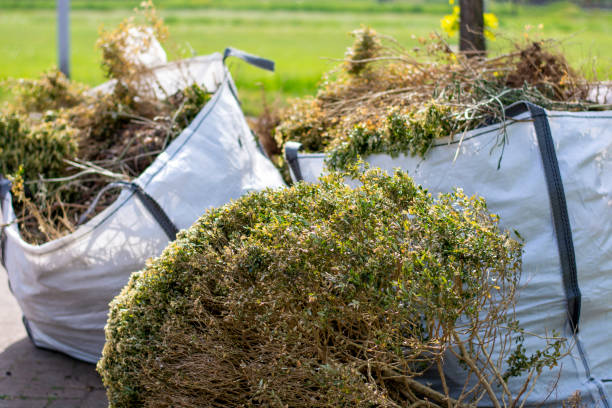 Best Estate Cleanout Services  in Waterville, OH
